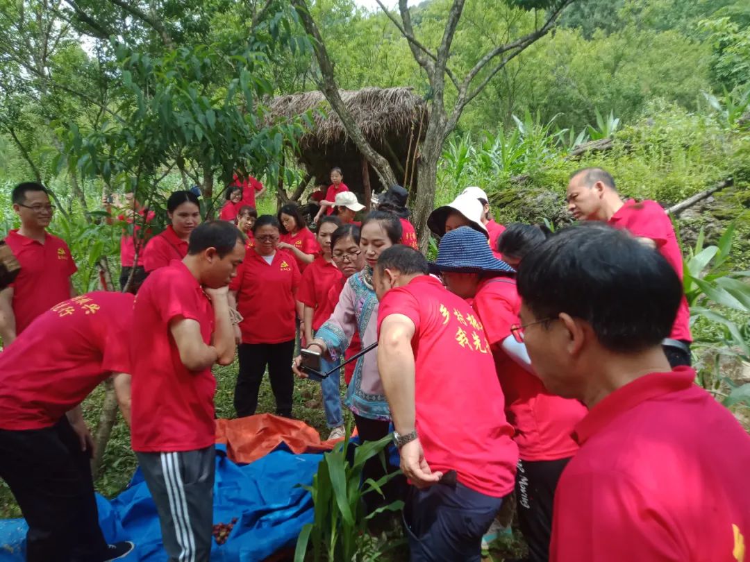 网络人士到九阡李基地直播.jpg